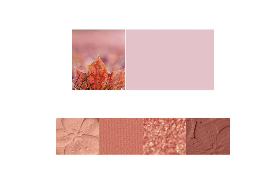 NOVO Eyeshadow Palette - 4 Color Eye Makeup Palette | Highly Pigmented Shades